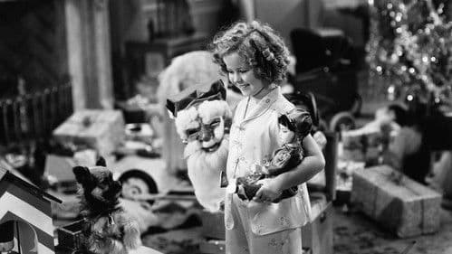 Sonnenscheinchen Bild 1