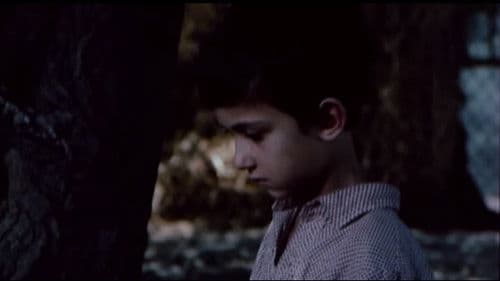 Süd Dişinin Ağrısı Bild 1