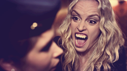 Wir sind die Nacht Bild 5