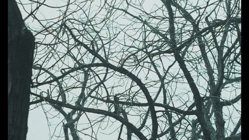 Befreiung aus der Ehe Bild 6