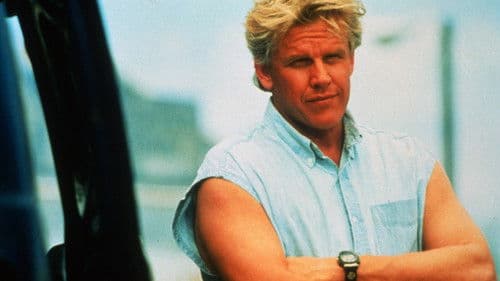 Die Cuba-Connection Bild 3