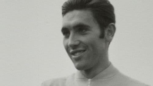 Eddy Merckx, die Radsport-Legende Bild 3