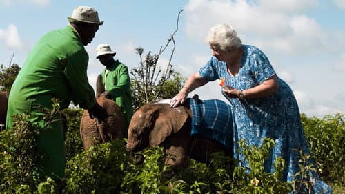 地球交響曲　ガイアシンフォニー Bild 1