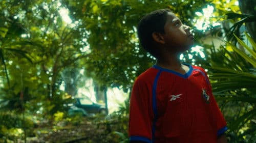 Como Cantan Las Aves Bild 4