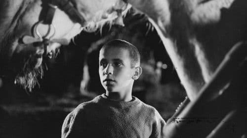 Crónica de un niño solo Bild 1