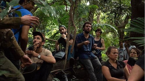 Terrible jungle Bild 5