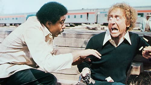 Trans-Amerika-Express Bild 7