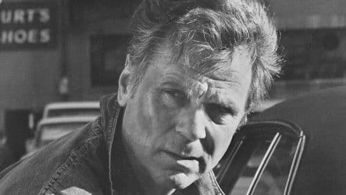 Shadow on the Land Bild 1