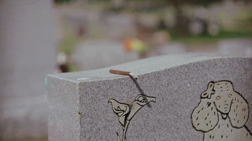 Abschiedsvorstellung Bild 6