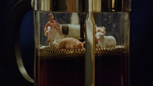 Die Kettenreaktion Bild 2