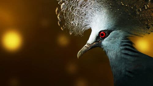 Inseln wie im Paradies Bild 5