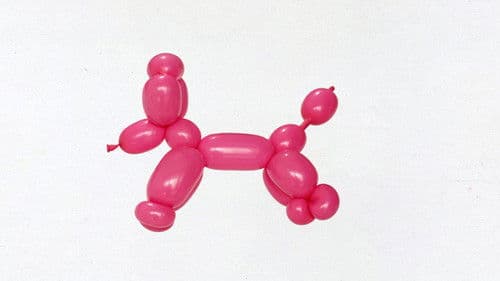 Los Años del Conejo Bild 1