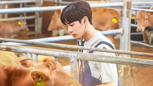 어쩌다 전원일기 Bild 3