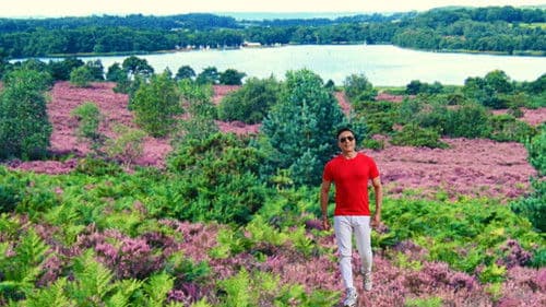 Frensham Great Pond Bild 8