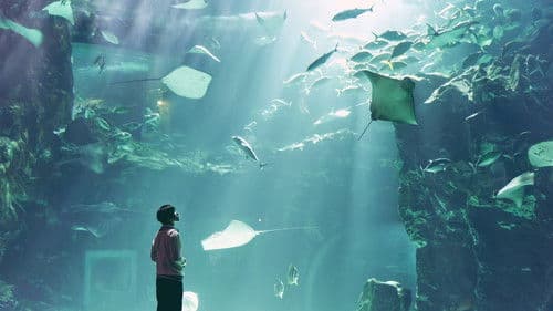 Move to Heaven Bild 4