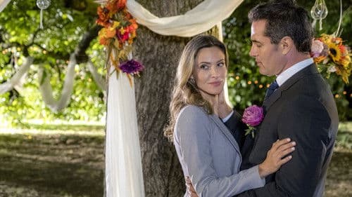 Die Hochzeit des Jahres Bild 1