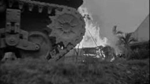 In the Year of the Pig Bild 2