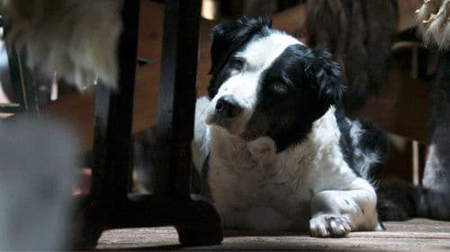 Die Abenteuer von Kina & Yuk Bild 8