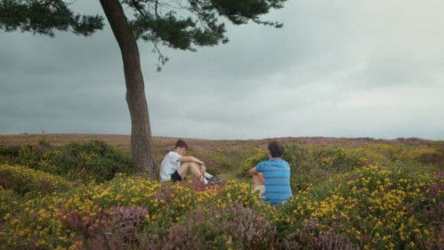 Scrutiny of Friendship Bild 2