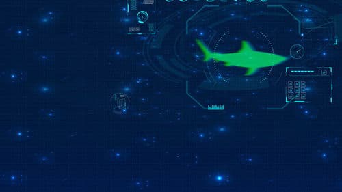 Haie in eisigen Gewässern Bild 5