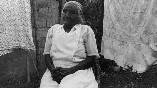 Los Zapatos de Zapata Bild 2