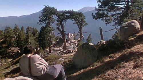 Verfluchtes Land Bild 7