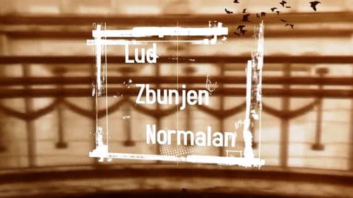 Lud, zbunjen, normalan Bild 8