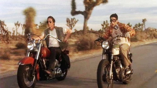 Asphalt-Propheten Bild 2