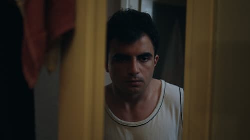 The Supplement Bild 4