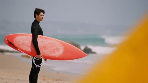 SPF-18 Bild 4