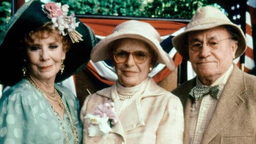 Oldest Living Confederate Widow Tells All Bild 7