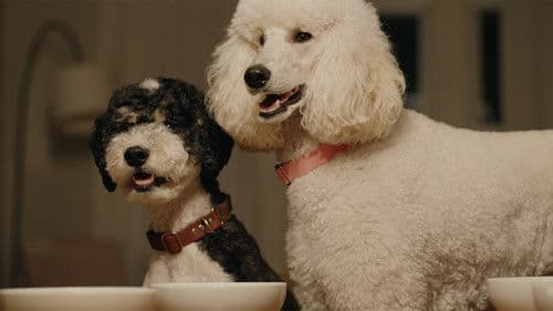 Coming Down Is The Hardest Thing Bild 4