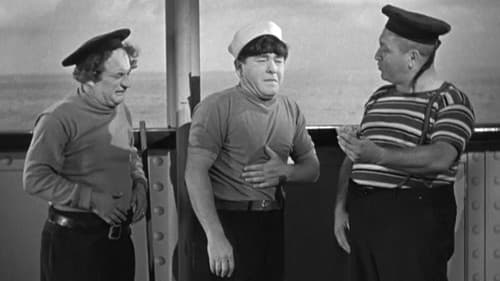 Back from the Front Bild 2