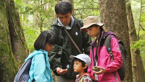 ゴーイング マイ ホーム Bild 8