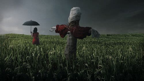 Memories of Murder Bild 1