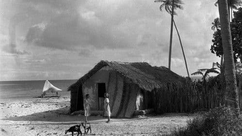 O Canto do Mar Bild 1