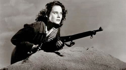 Schwert in der Wüste Bild 1