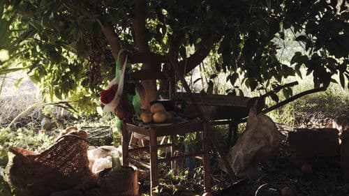 El Mapa del Agua Bild 5