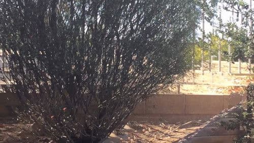 All Those Things Bild 1