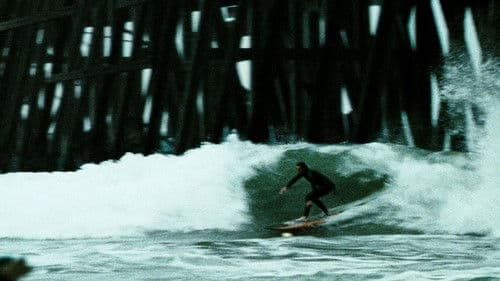 Dogtown Boys Bild 6