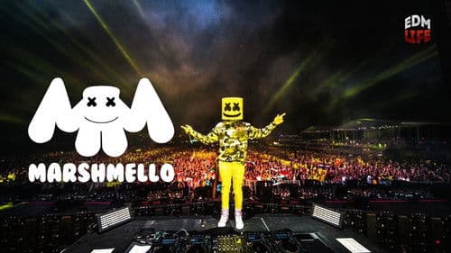 Marshmello - Live @ Ultra Music Festival Bild 1