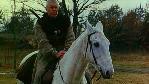 Geralt von Riva - Der Hexer Bild 6