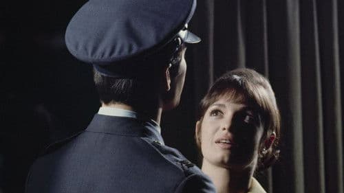 Gidget Grows Up Bild 6