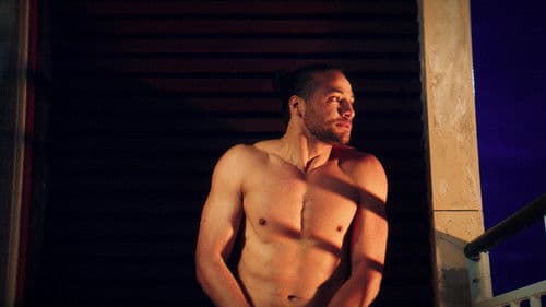 Niks vreemds aan Bild 4