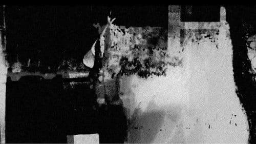 A solitude e outras coisas doces Bild 4