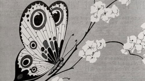 Like Wildfire Bild 1