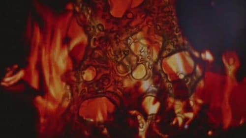 Friendly Fire Bild 1