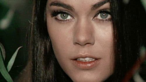 Gungala la pantera nuda Bild 1