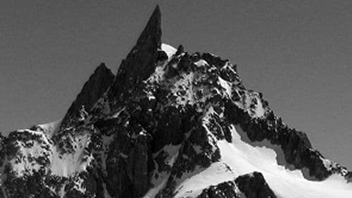 Tant que nous l'aimerons Bild 3