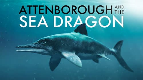 Attenborough and the Sea Dragon Bild 2